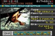 Anurognathus