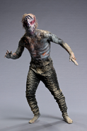 Flytrap Man