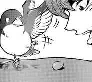 Four-Winged Bird