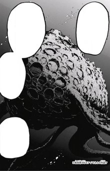Black Hole Whale
