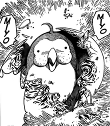 Billion Bird