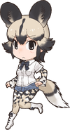 African Wild Dog