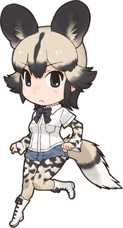 African Wild Dog