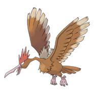 Fearow