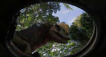 Acceraptor