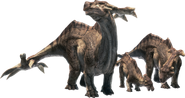 Aptonoth