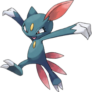 Sneasel