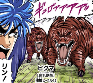 Biguma