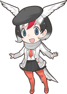 Arctic Tern