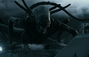 Planet 4 Xenomorph