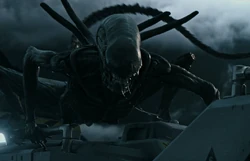 Xenomorph XX121 | Galactic Creatures Wiki | Fandom