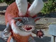 Furocious