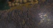 Alien Flatworm