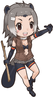 North American Beaver