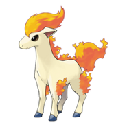 Ponyta