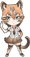 Asian Golden Cat