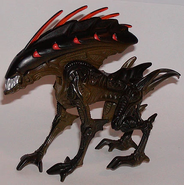 Wild Boar Xenomorph