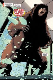 Grizzly