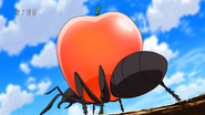 Antpple