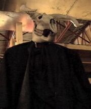 Cow Skull Giant