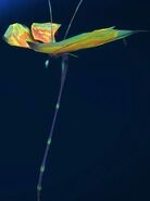 Flutterflower
