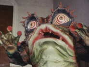 Frog Evo