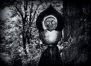 Flatwoods Monster
