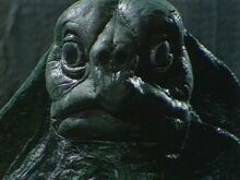 Sea Devil