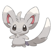 Minccino