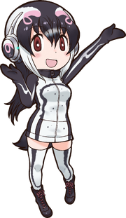 African Penguin