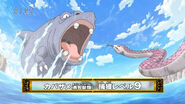 Hipposhark