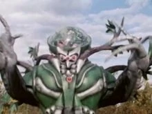 Chlorophoid | Galactic Creatures Wiki | Fandom