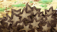 Abalone Star