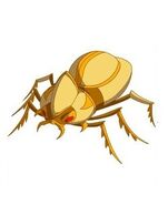 Gold Scarabese