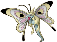Agehafly