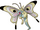 Agehafly