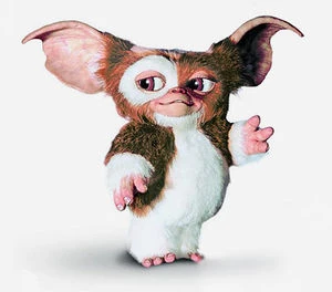 Mogwai | Galactic Creatures Wiki | Fandom
