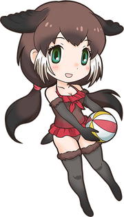 Northern Fur Seal