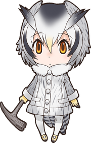 Northern White-Faced Owl