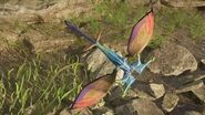 Flying Lily