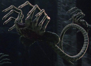 Facehugger