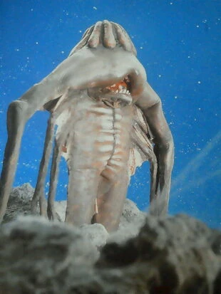 latest?cb=20190926174359