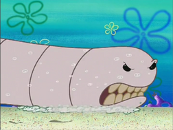 Alaskan Bull Worm