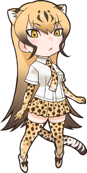 Cheetah