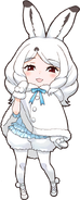 Arctic Hare