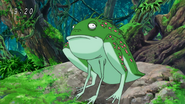 Mors Frog