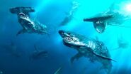 Undead Shark