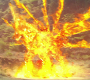 Flame Horse