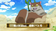 Flying Peach Squirrel