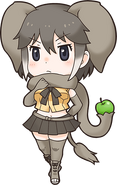 African Forest Elephant